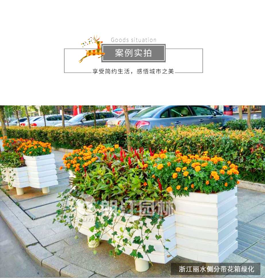 浙江麗水側分帶花箱綠化